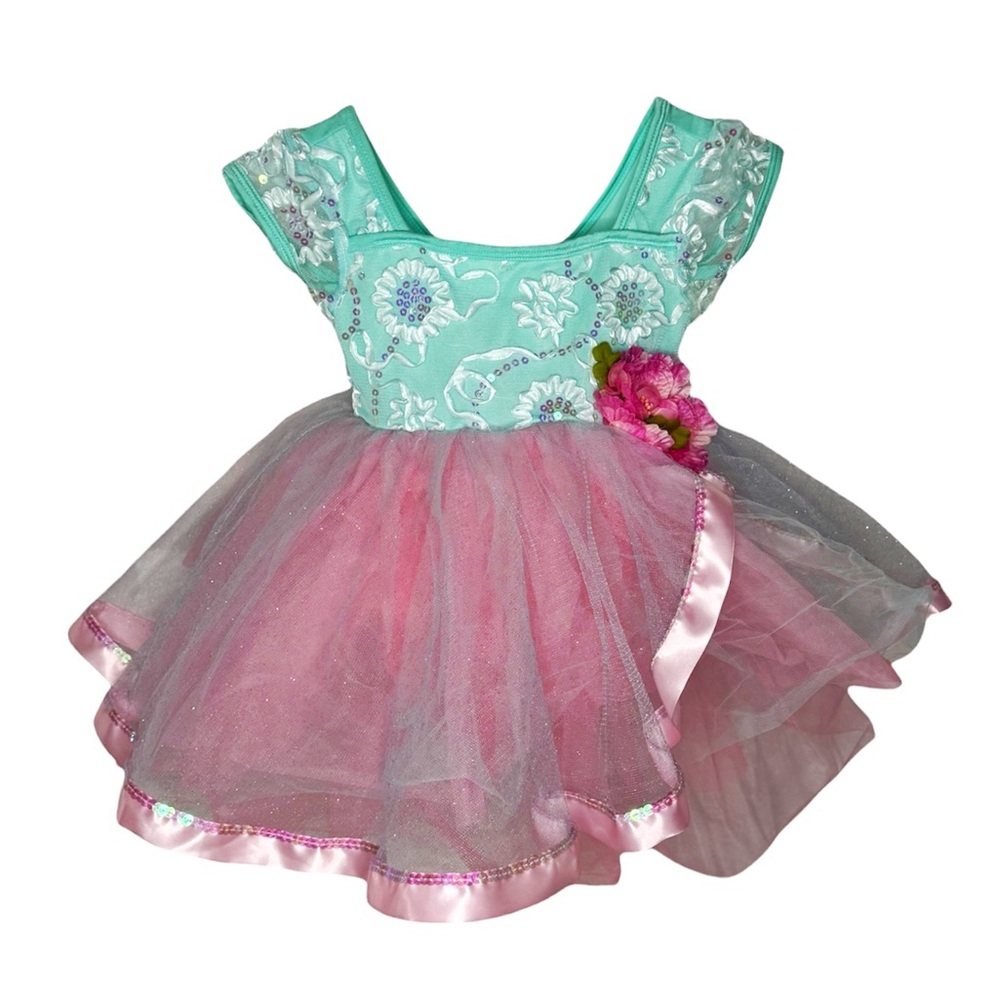 Curtain Call | Floral Pink and Green Kids Ballet Dance Costume Tutu, Size CSM